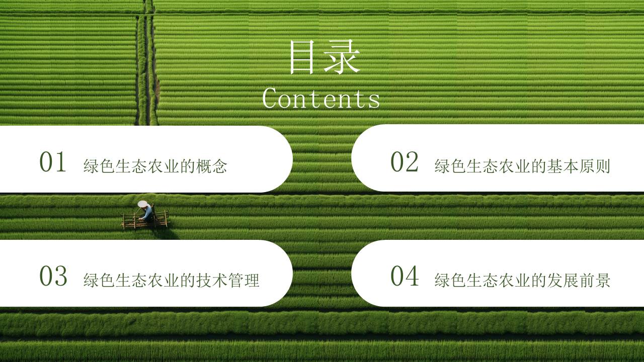 农业 (22).pptx